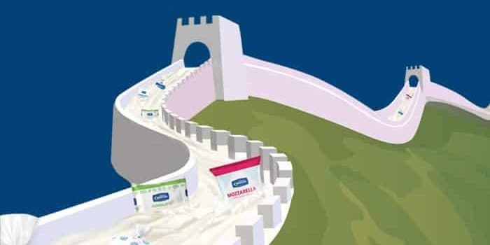 food and hotel in china – latteria sorrentina food and hotel in china - latteria sorrentina