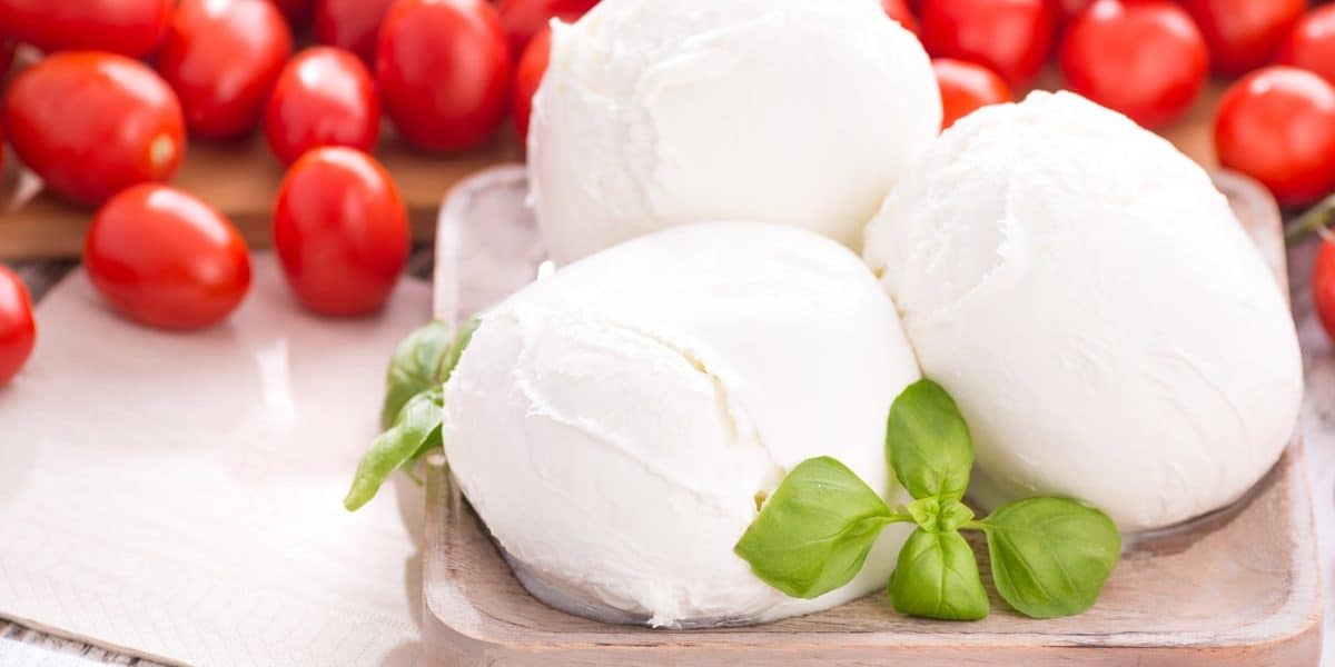 Fornitori di mozzarella per ristoranti Fornitori di mozzarella per ristoranti