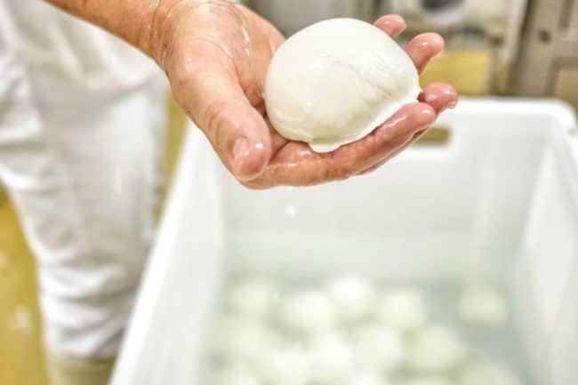 Come conservare il fiordiltatte Come conservare il fiordiltatte