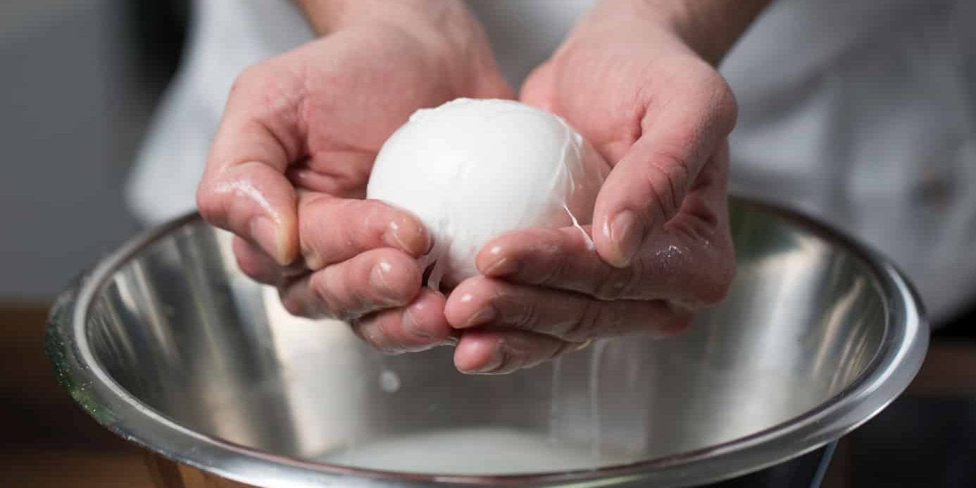 mozzarella a napoli mozzarella a napoli