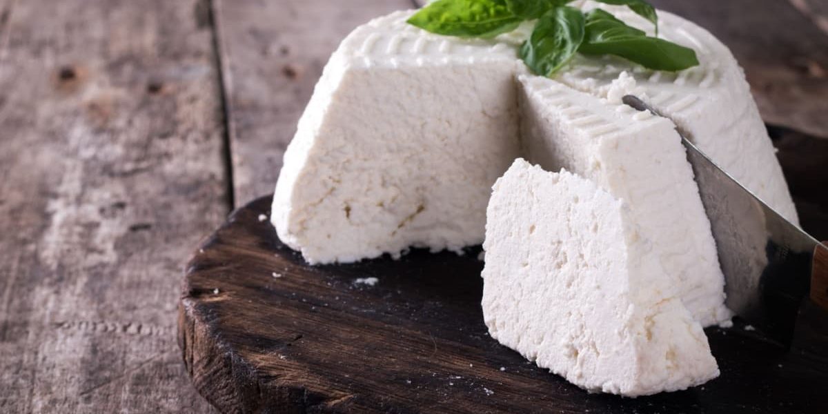 differenza-tra-ricotta-e-ricotta-di-fuscella differenza-tra-ricotta-e-ricotta-di-fuscella